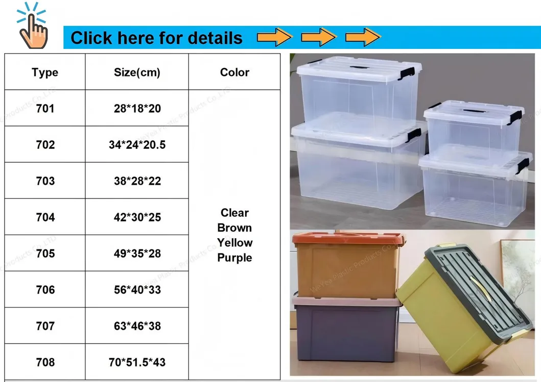 Transparent Storage Bin