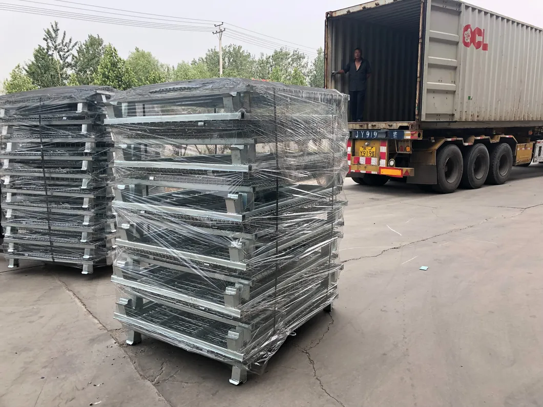 Metal Storage Cage 6