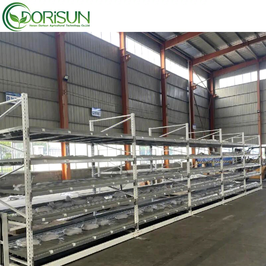 Mobile Storage System Nursery Flower Two Tier 4X8FT Grow Rack Vertical Farming