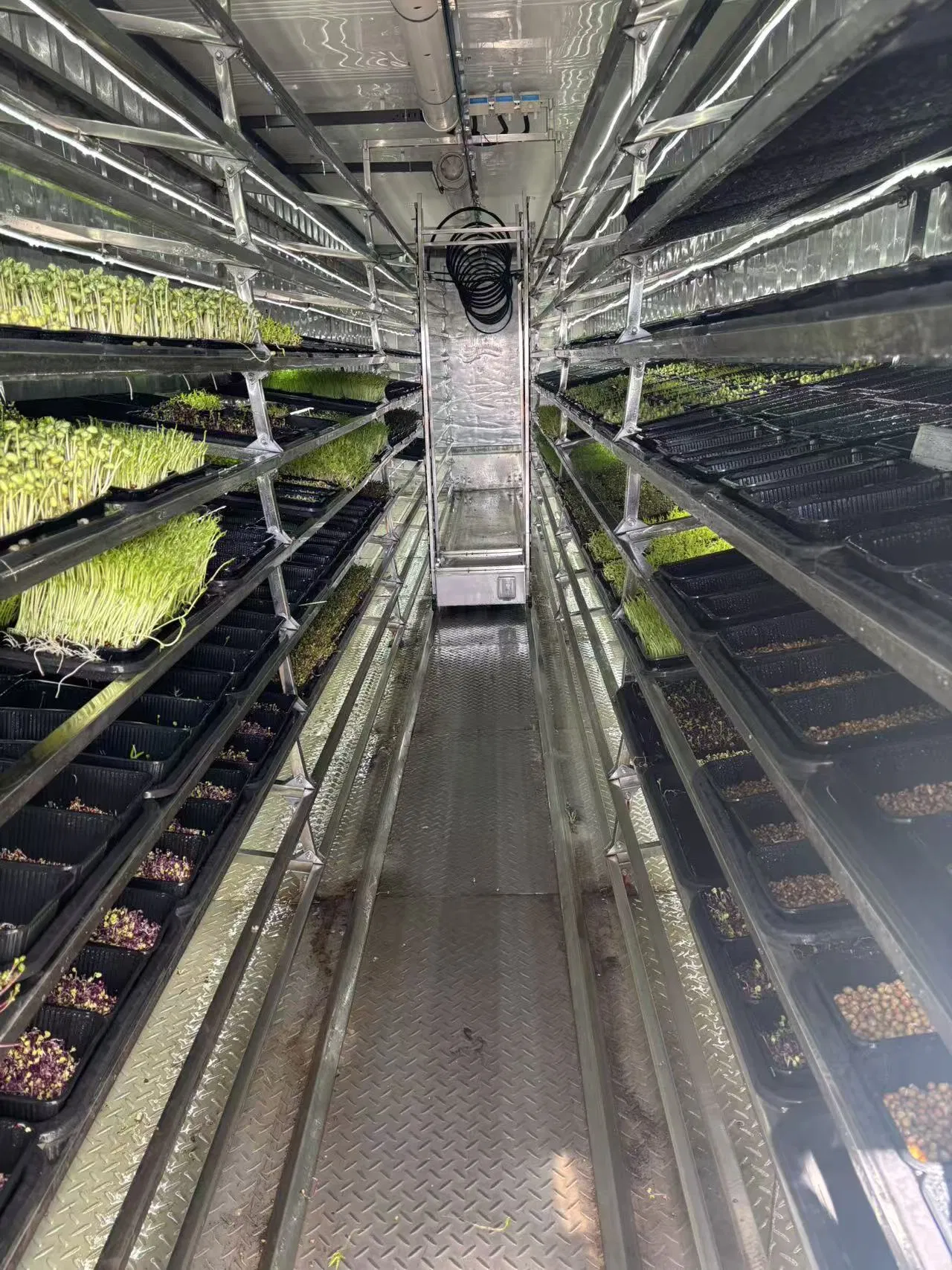 Agg Indoor Planting Turnkey Project Medical Plants Seedbed Smart Farm Rolling Bench Container Farms for Sale