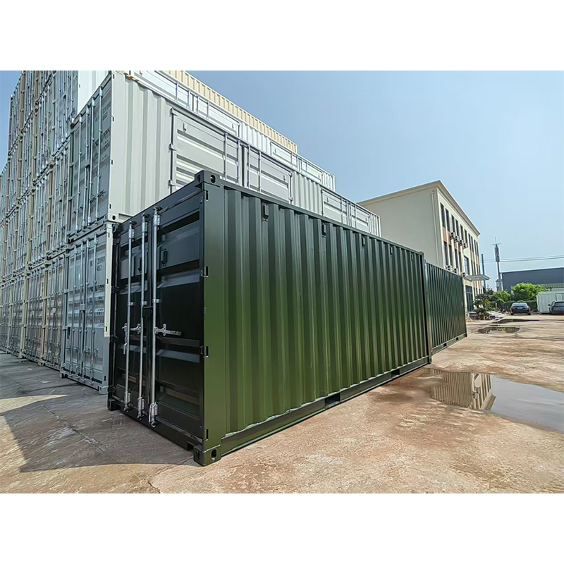 New 20FT 20DV Standard Dry Van Bulk Cargo Storage Container with Customized Color