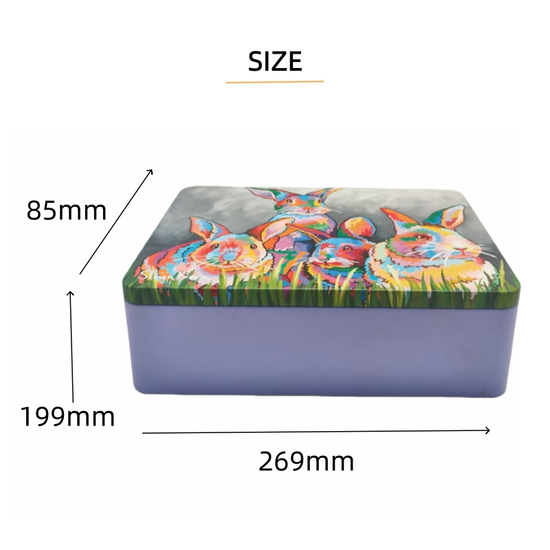 Food-Grade Cookies Biscuits Candies Cakes Makeup Toys Packaging Iron Boxes