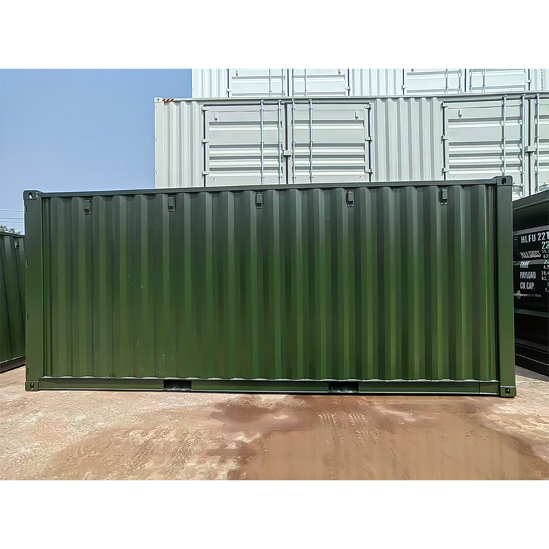 New 20FT 20DV Standard Dry Van Bulk Cargo Storage Container with Customized Color