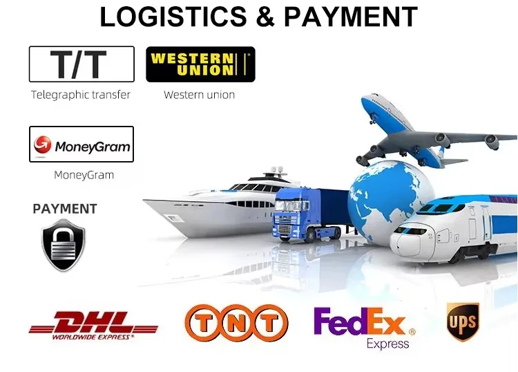 Shipping Logistics