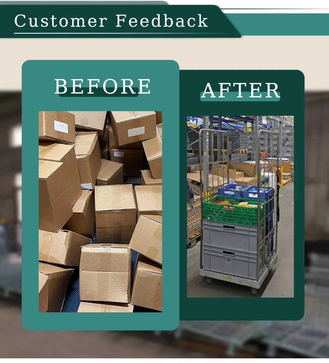 Roll Cage Cart View 4