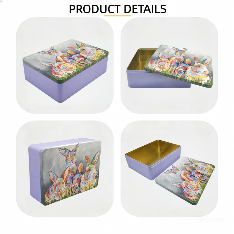 Food-Grade Cookies Biscuits Candies Cakes Makeup Toys Packaging Iron Boxes