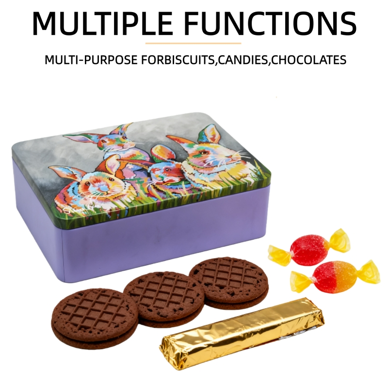 Food-Grade Cookies Biscuits Candies Cakes Makeup Toys Packaging Iron Boxes