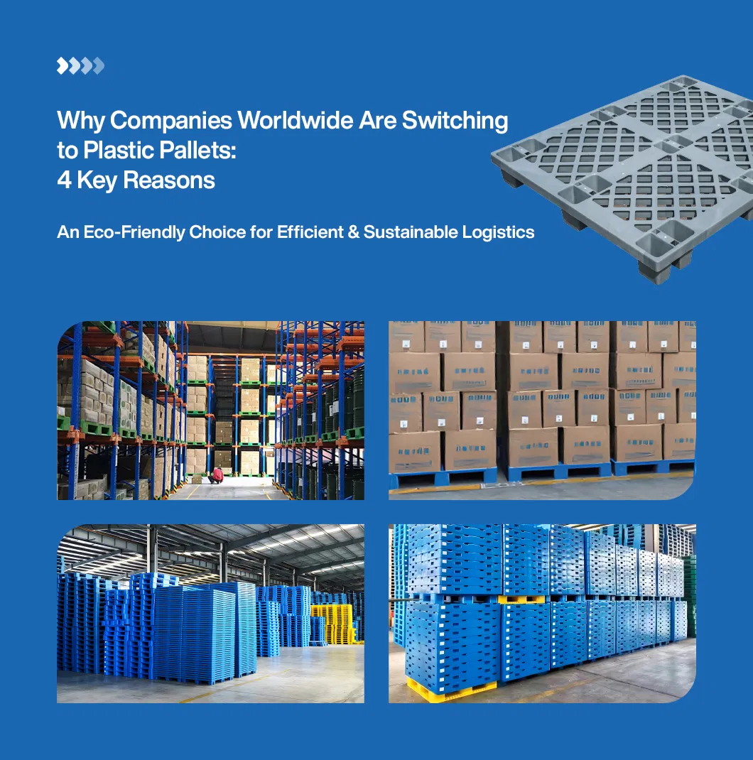 Certification Showcase