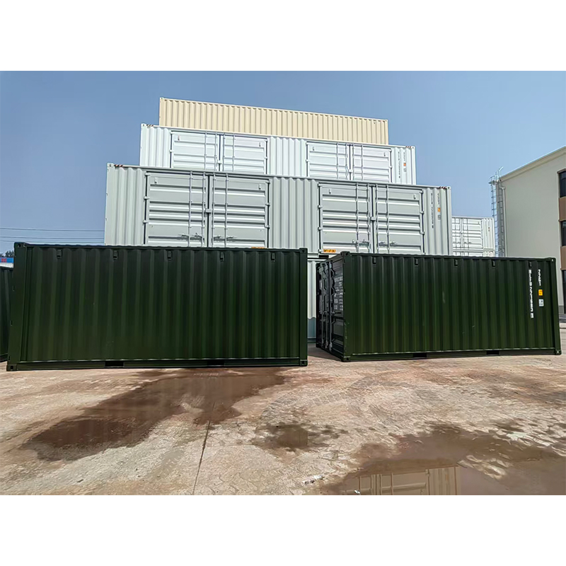 New 20FT 20DV Standard Dry Van Bulk Cargo Storage Container with Customized Color