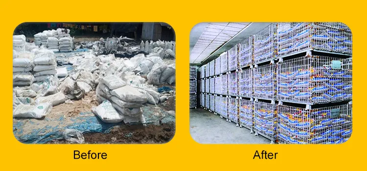 Southeast Asia Case Study