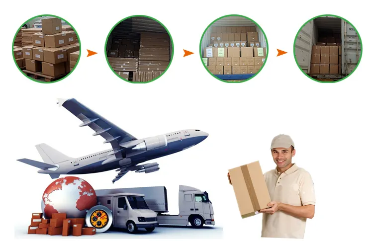 Logística y Envío del Producto