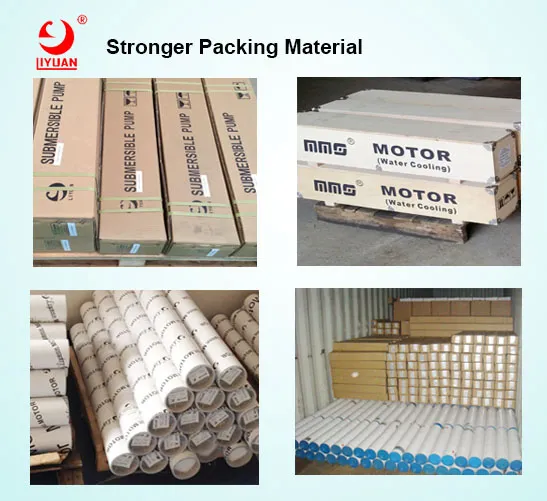 Embalaje de exportación de bombas sumergibles