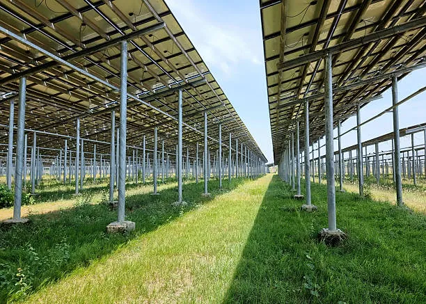 Soluciones de Montaje de Paneles Solares Agrícolas