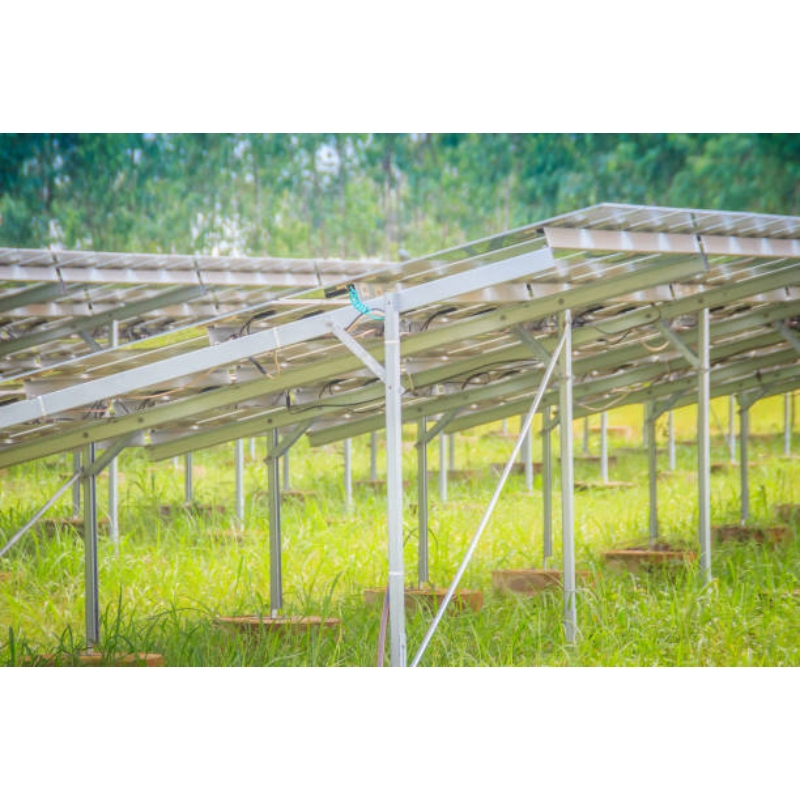 Sistema de Montaje de Paneles Solares de Alta Resistencia para Agricultura Fuera de la Red