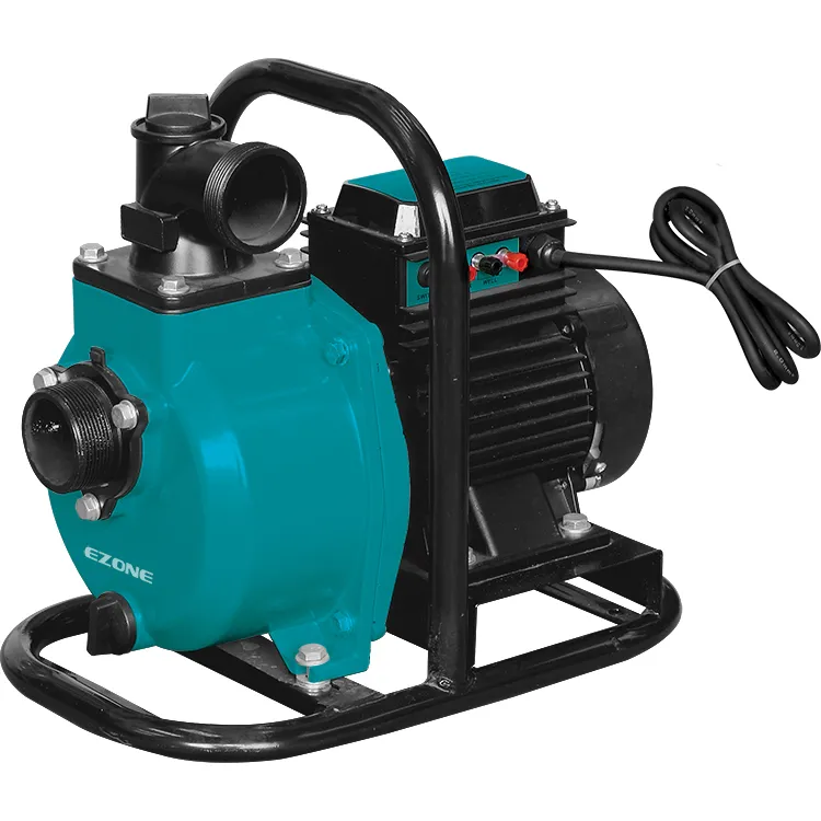 Kit de máquina de bombeo portátil DC 1HP 1 HP sistema de bomba de agua de energía solar PV