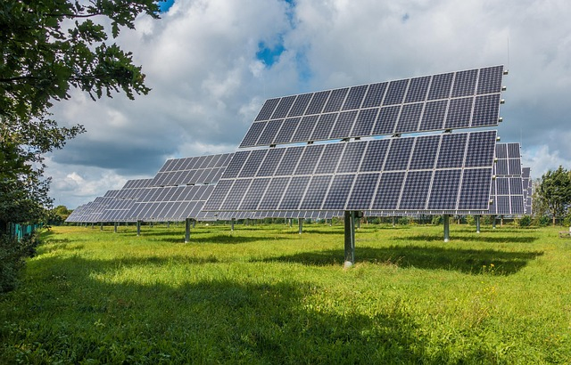 Soluciones de Montaje de Paneles Solares Eficientes para la Agricultura con Colores Personalizados