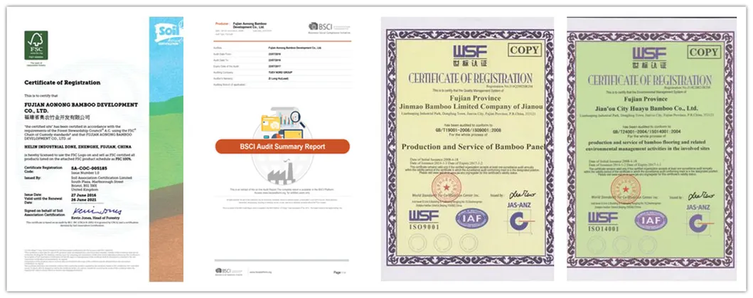 Certificação FDA LFGB