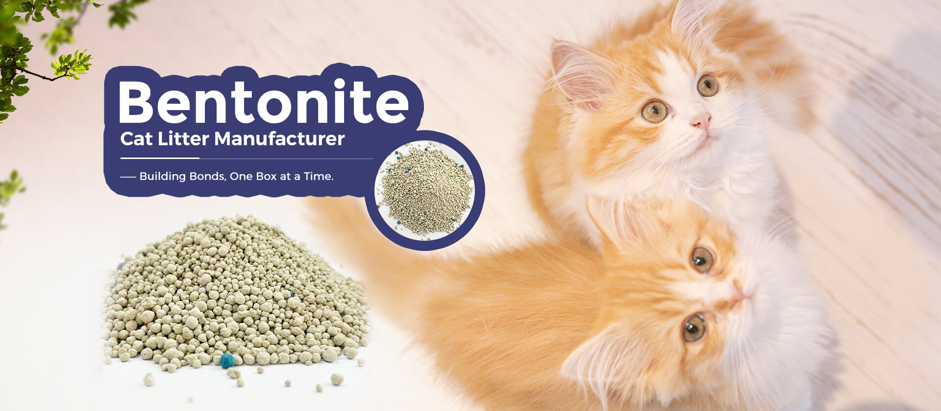 Tom's Family global OEM cat litter supplier - customized private label solutions