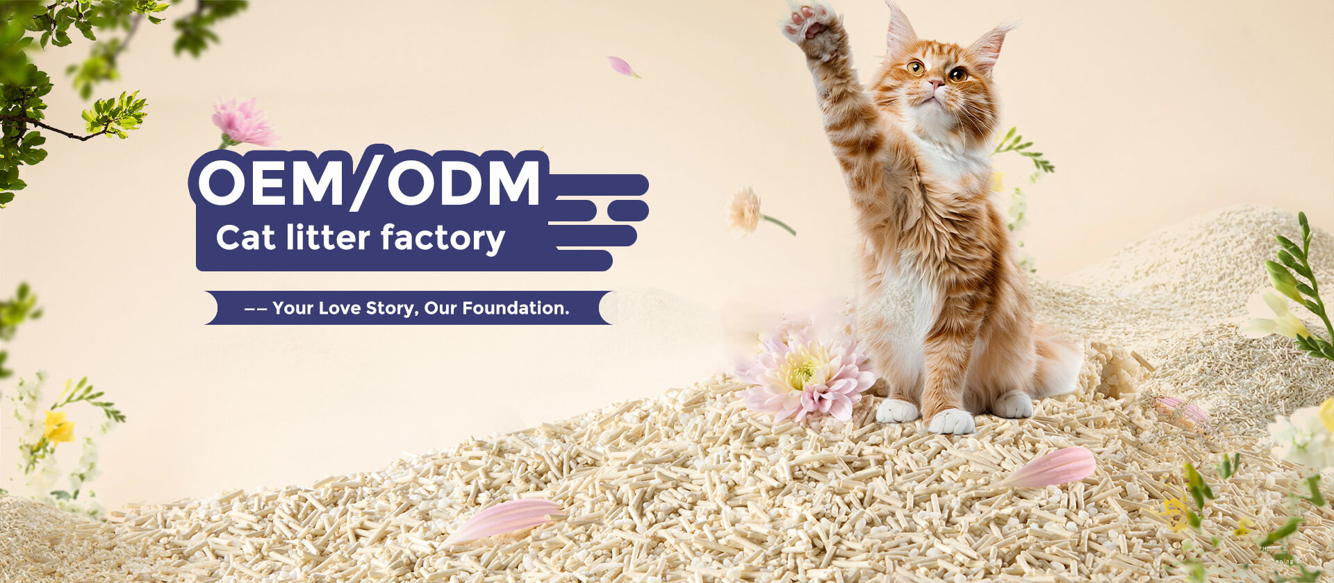 Tom's Family OEM cat litter manufacturing facility - premium quality production