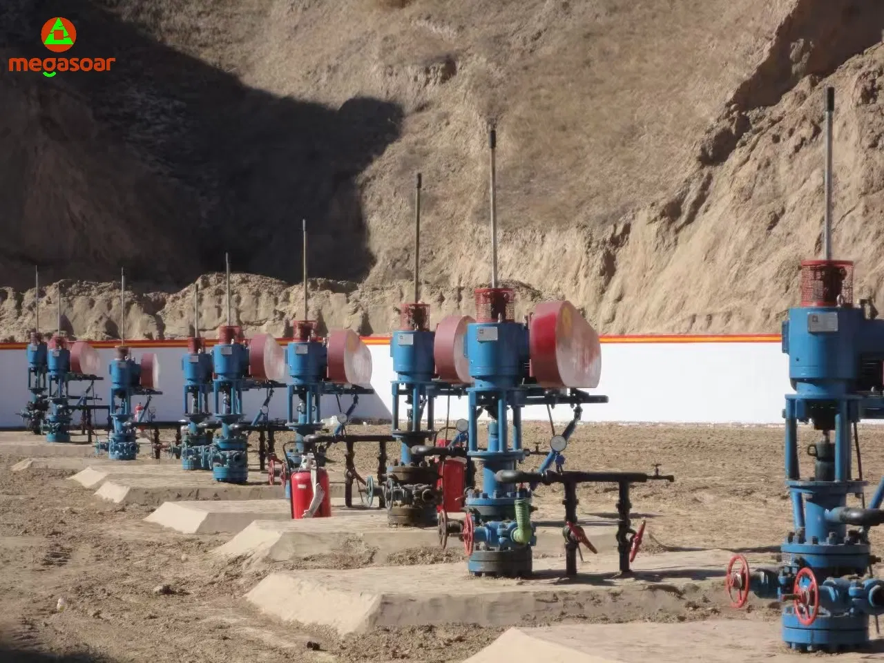 Surface Drive Progressive Cavity Pumps