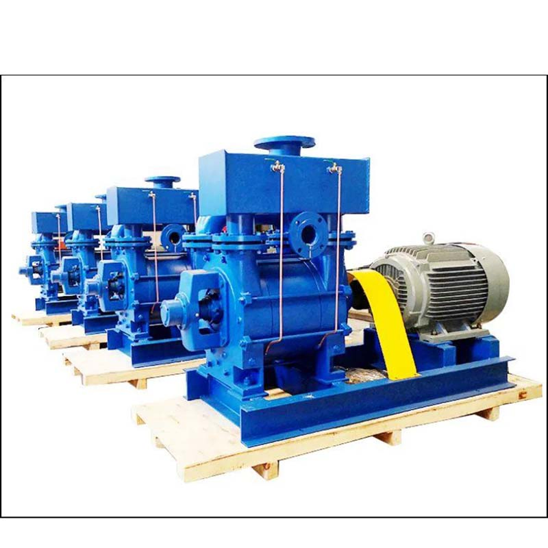 Water Ring Vacuum Pump (2BE1 403)