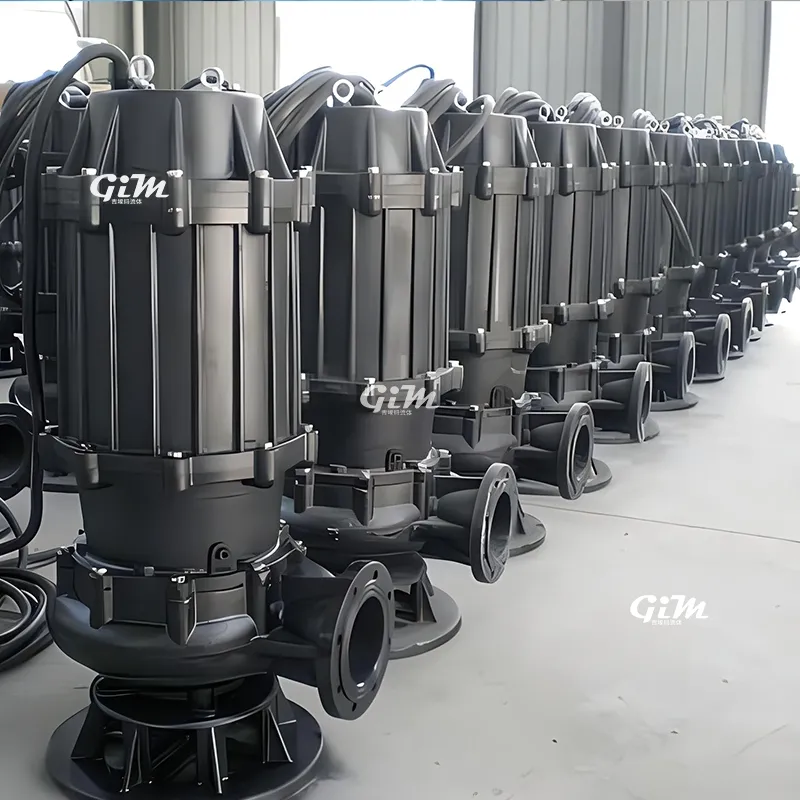 Sewage Pump Detailed Photo 2