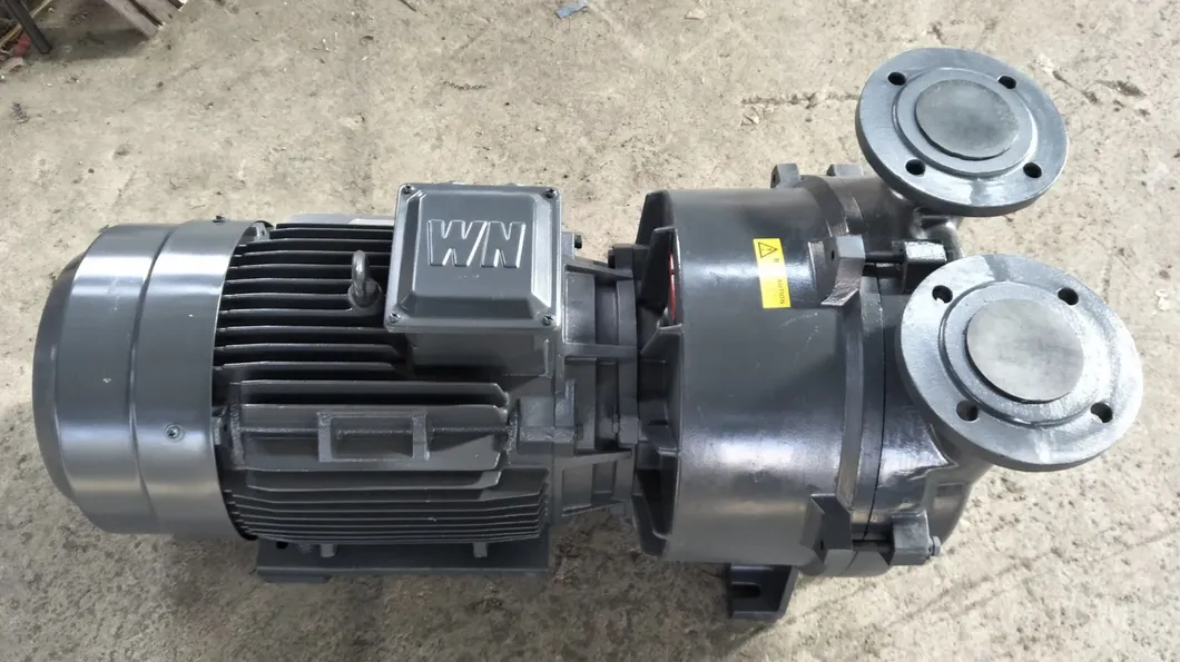 2BV Water Ring Vacuum Pump