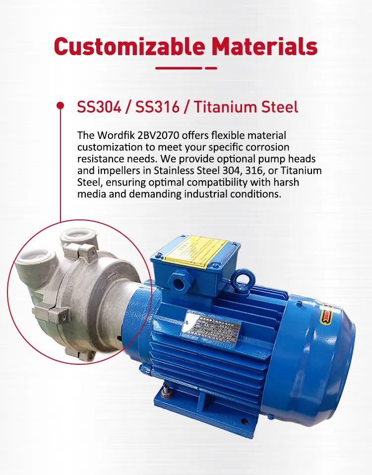 Vacuum Pump Detailed Components