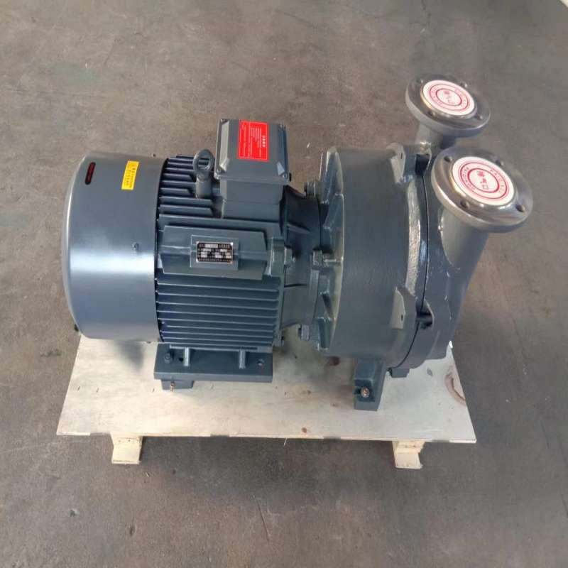 2BV-5161 Single/Two/Double Stage Liquid-Water-Ring Vacuum Pump in China (System)