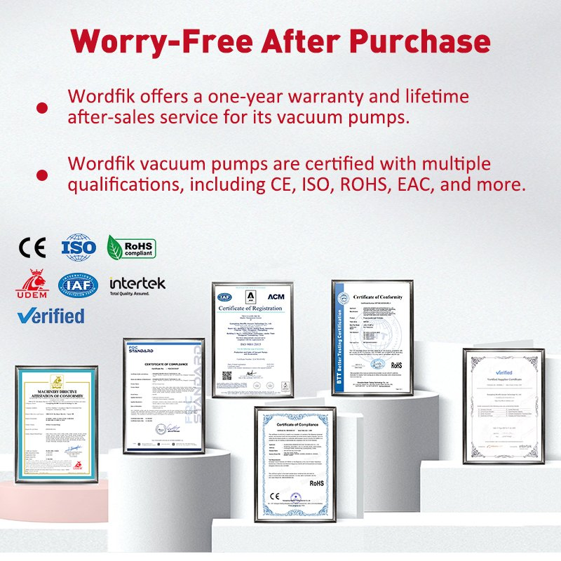 Wordfik Model 2BV2070 Ss Pump Head Single-Stage Water Ring Vacuum Pump for Vacuum Filtration Freeze Dryer Liquid Ring Pumps