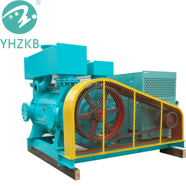 Water/Liquid Ring Vacuum Pump for Paper Mill