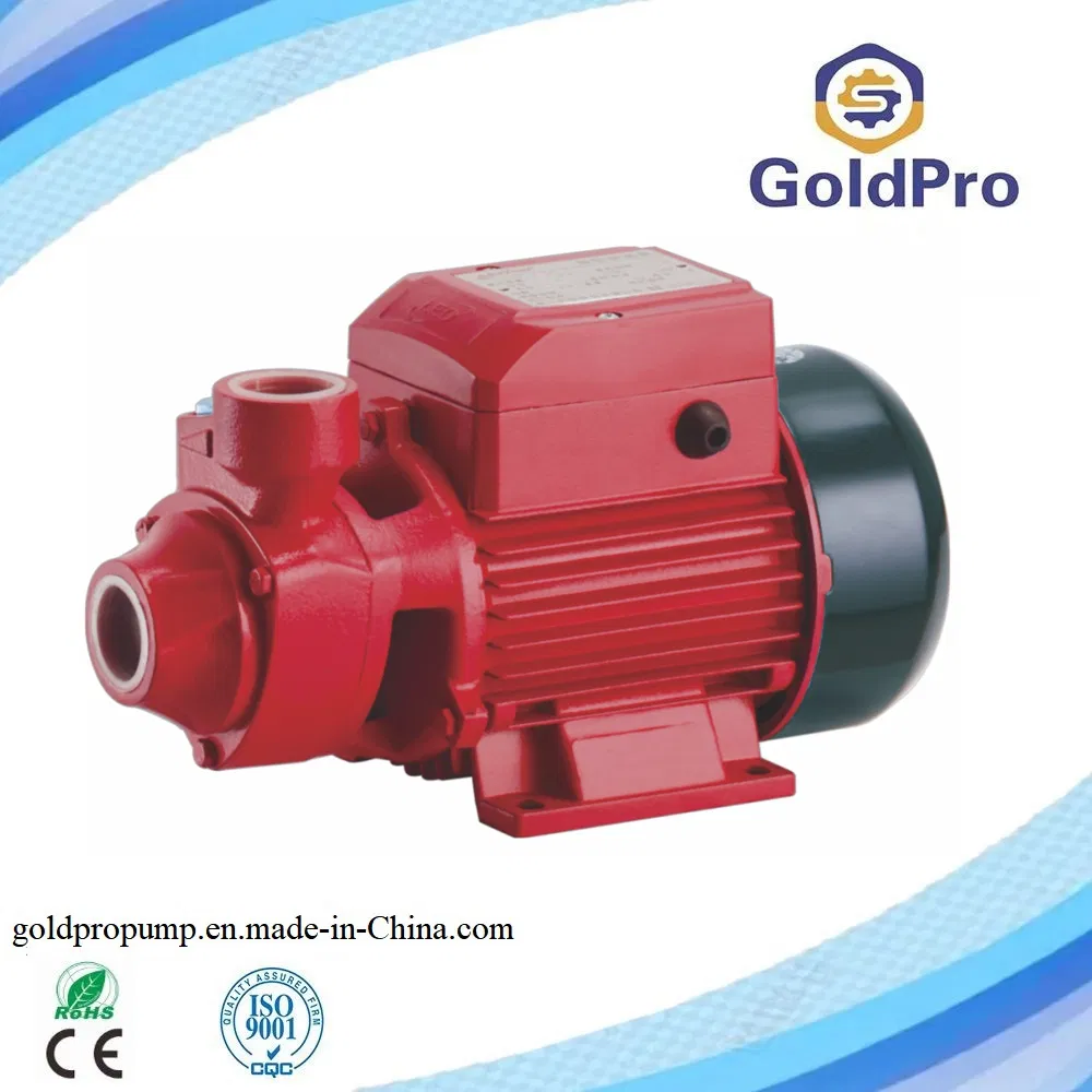 Qb60 Idb45 Cast Iron Body Brass Impeller Self-Priming Centrifugal Peripheral Jet Water Pump