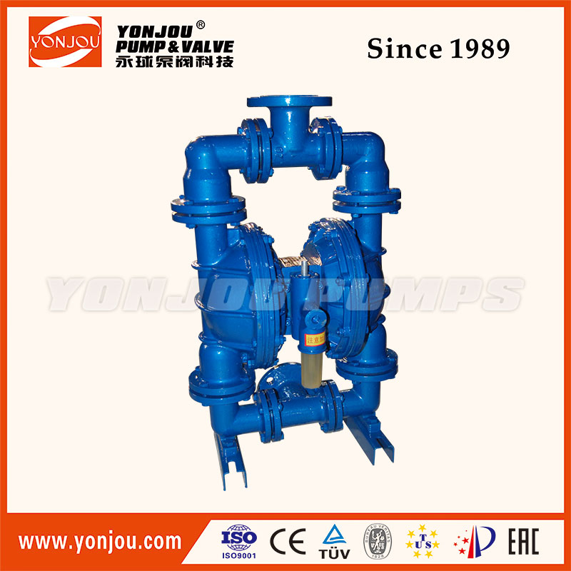 Cast Iron Slurry Air Diaphragm Pump