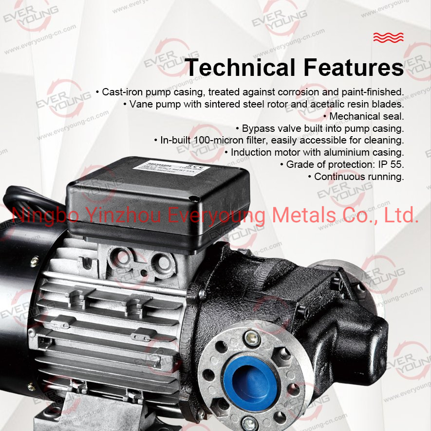 100 Lpm Fuel Transfer Pumping E120 AC 220V-240V Self Priming Vane Pumps Diesel Transfer Electric Pump with CE Portable Oil Transfer Pump