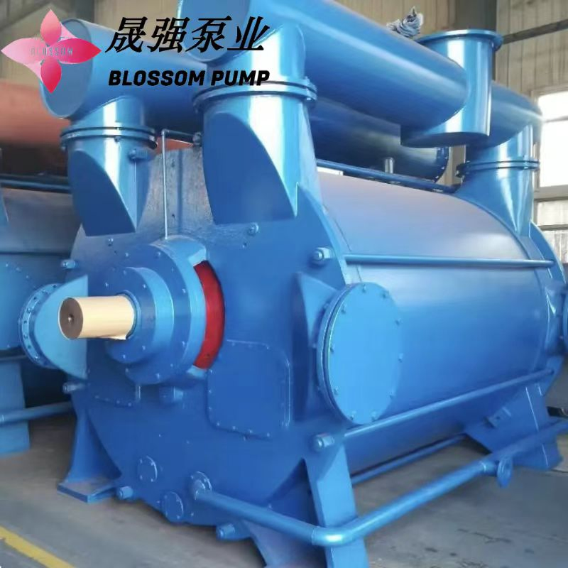 2be Series Water Ring Vacuum Pump Vacuum Degree High Power Consumption Low