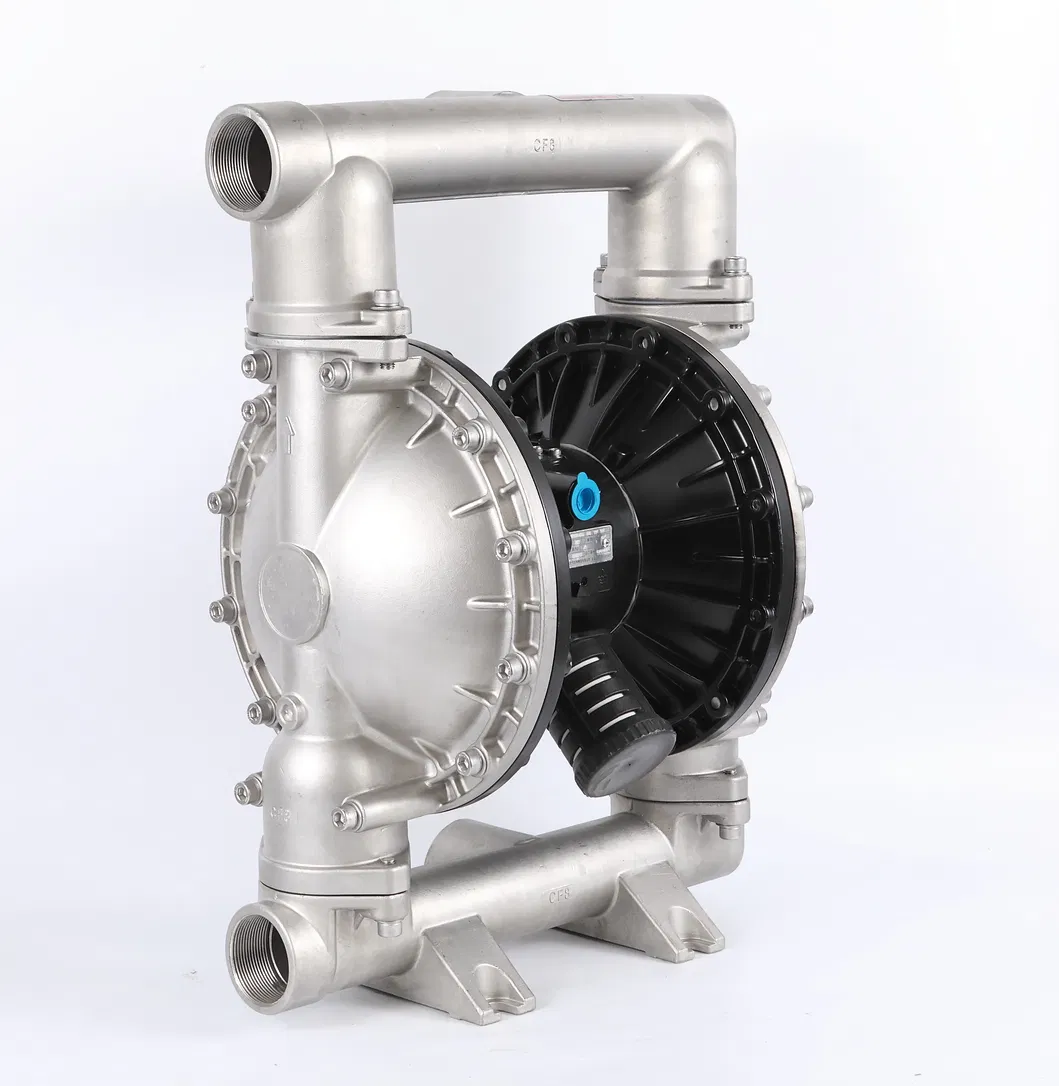 Pneumatic Stainless Steel Pump Display