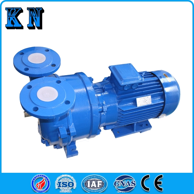 2BV5110 Steel Water Ring Vacuum Pump for Paper Making Chemical Industry