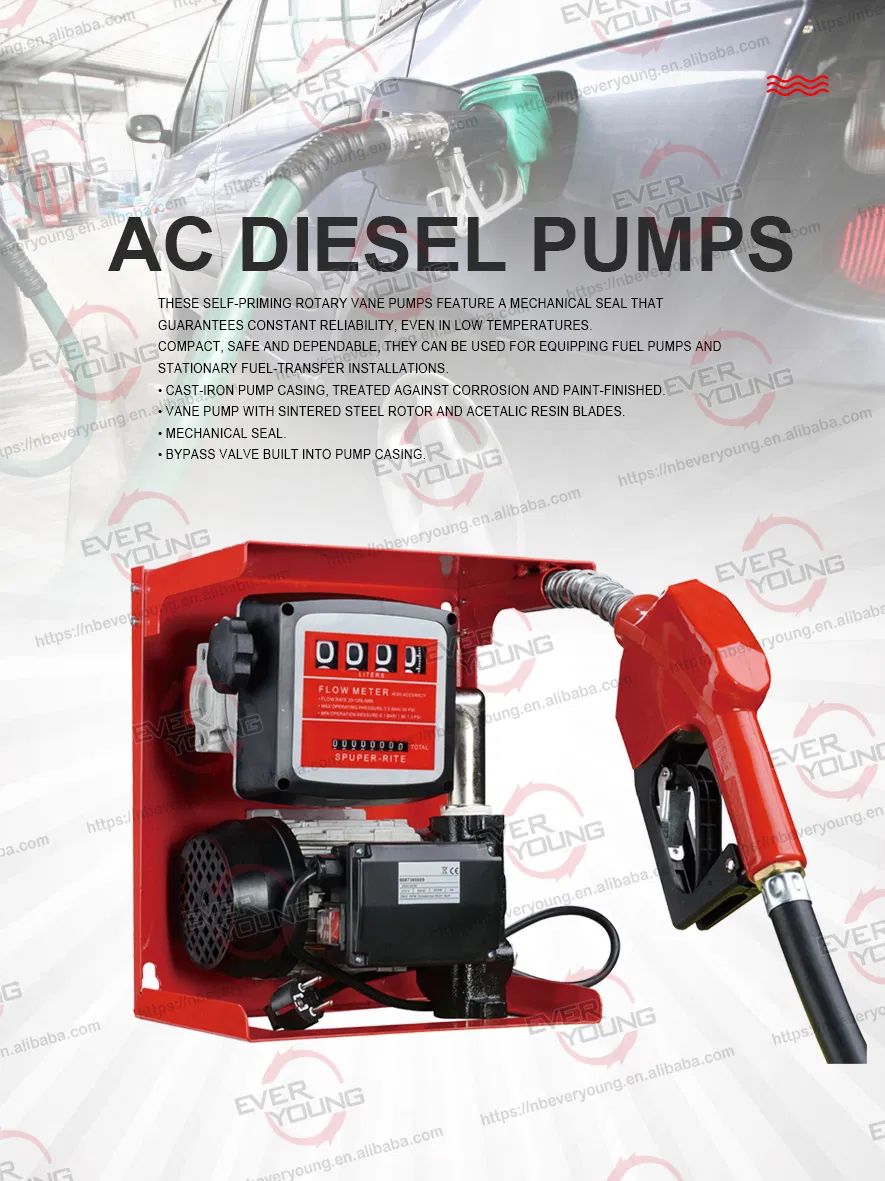 Portable Diesel Transfer Pump