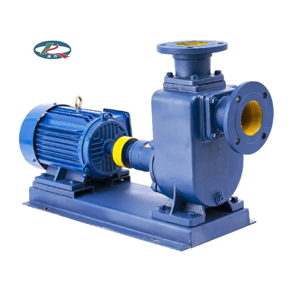 Centrifugal Sewage Pump