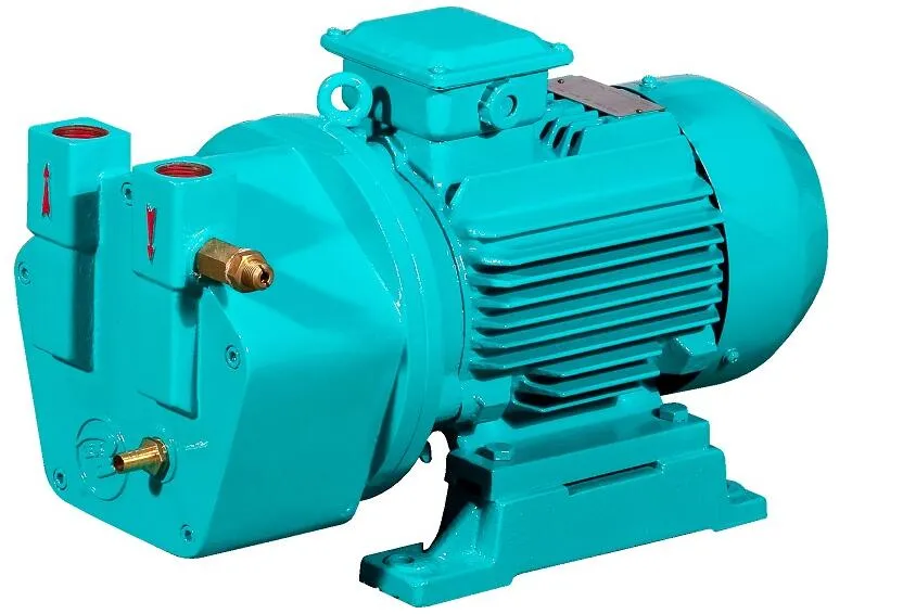 SK Series Vacuum Pump Overview
