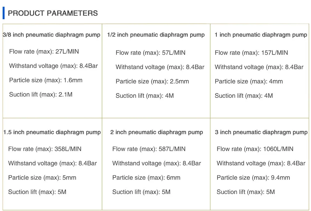 Pneumatic Diaphragm Pump 2