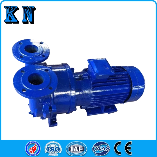 2BV5110 Steel Water Ring Vacuum Pump for Paper Making Chemical Industry