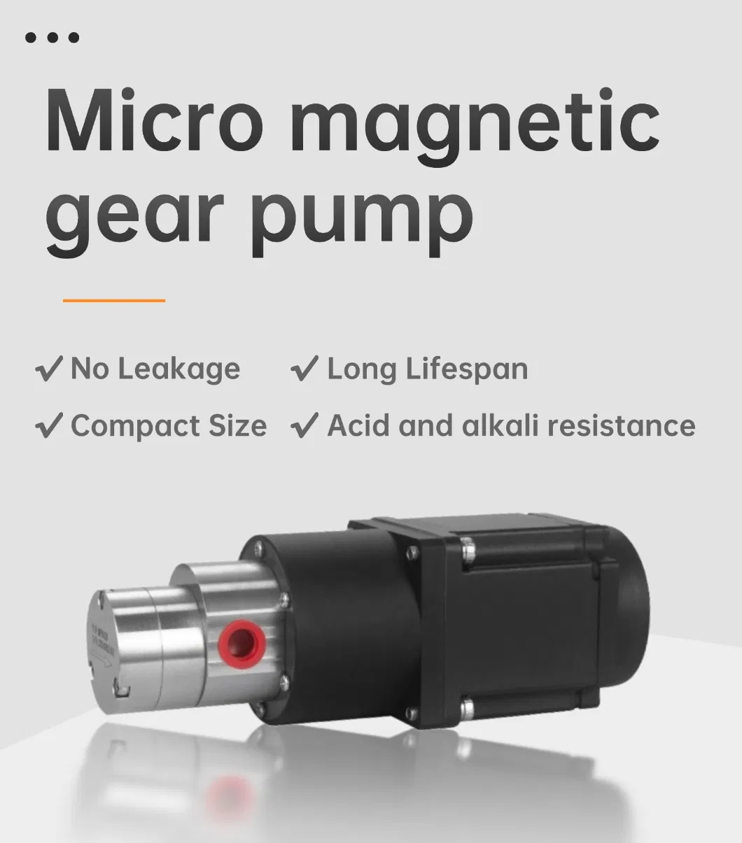 Micro Magnetic Gear Pump