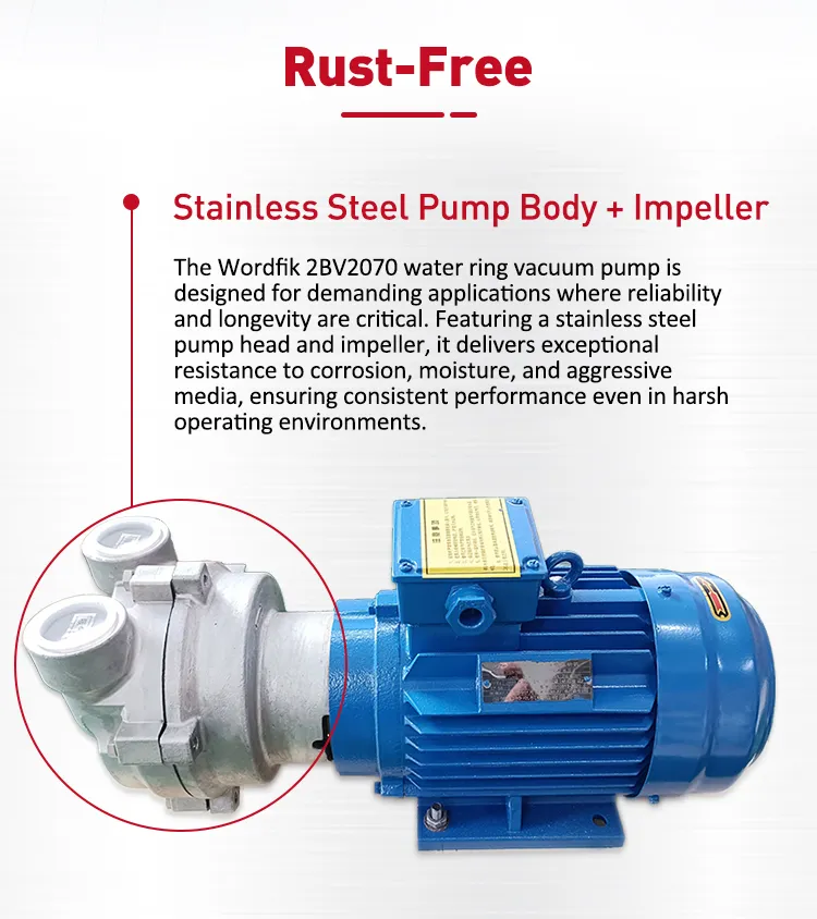 Vacuum Pump Product View 2