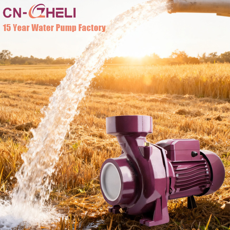 Heavy Duty Corrosion Resistant Liquid Transfer Pump for Industrial Water Supply