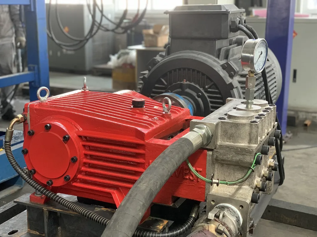 Triplex Plunger Pump