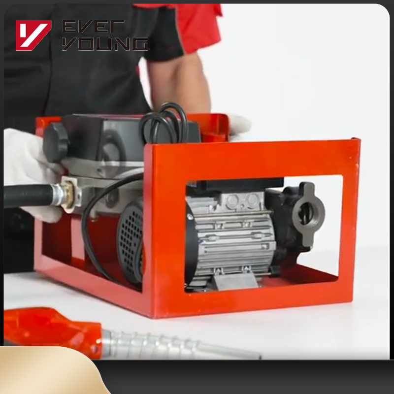 Portable 12V Diesel Transfer Pump for Vacuum Usage for Oil Transfer