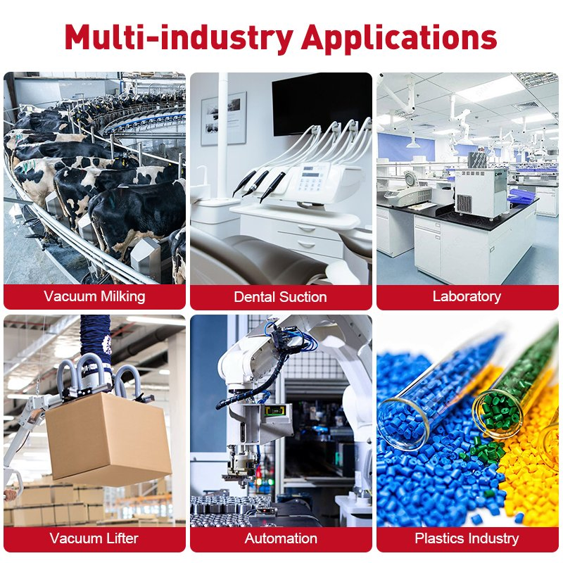 Small Compact Dry Rotary Vane Vacuum Pump Vacuum Sealing Machine Packaging 8m³ /H 150mbar Mini Vd8 Wordfik