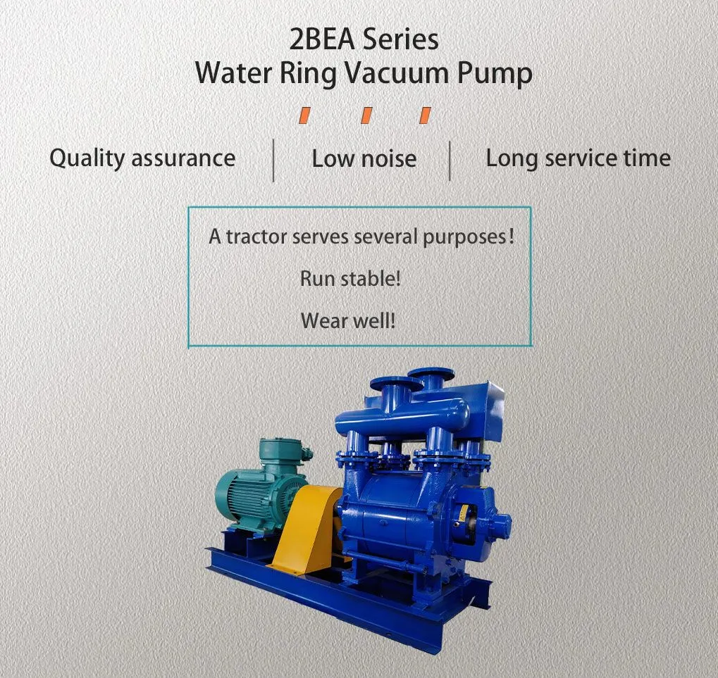 Water Ring Vacuum Pump 1