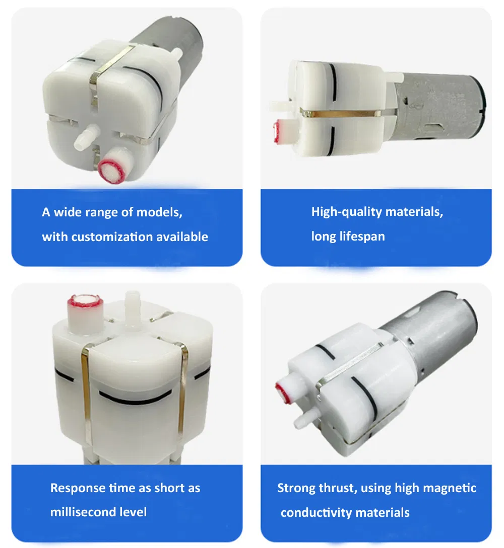 DC Vacuum Pump View 1